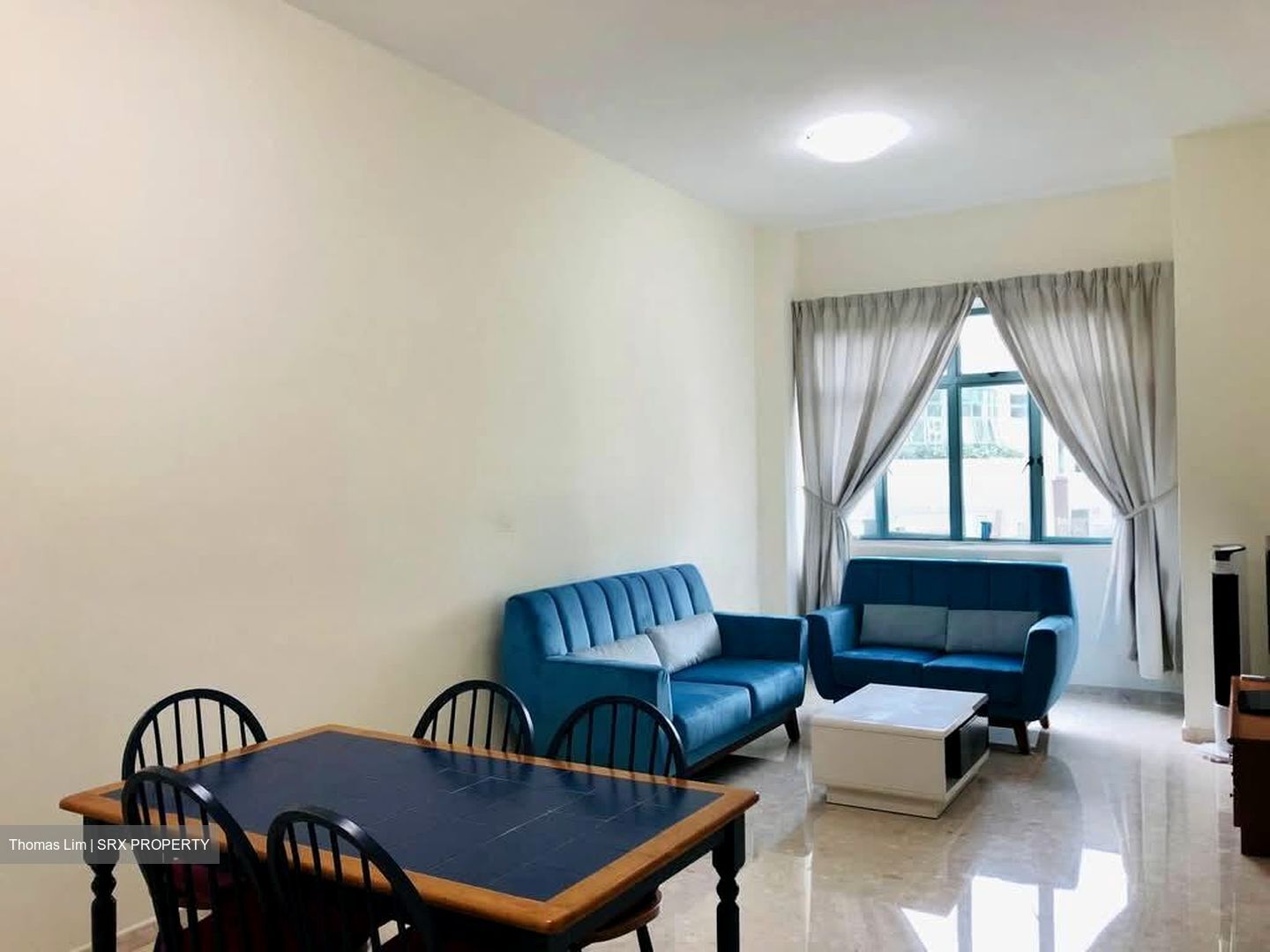 Tanglin Regency (D10), Condominium #591988991